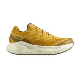 Salomon Aero Glide 3 Gravel Running Shoe Men's in Spicy Mustard Vanilla Ice Deep Lichen Green